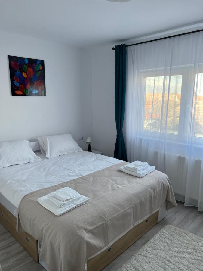 Cozy Residence Сибиу Экстерьер фото